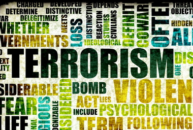 Essay in terrorism