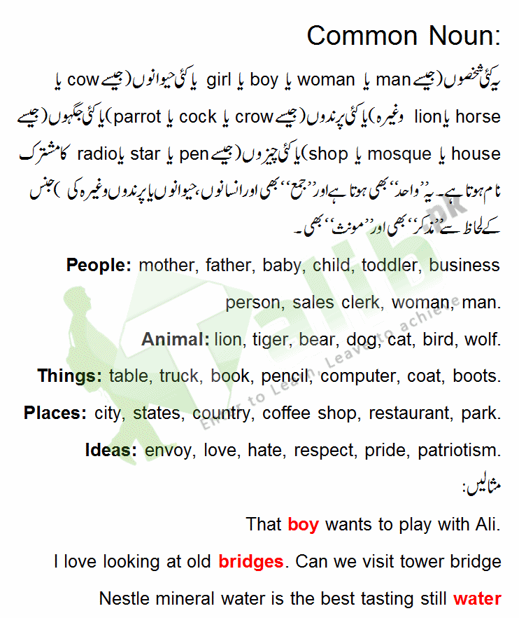 common-noun-and-proper-noun-definition-in-urdu-with-examples