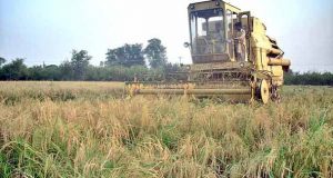 Agriculture Problems and Importance in Pakistan