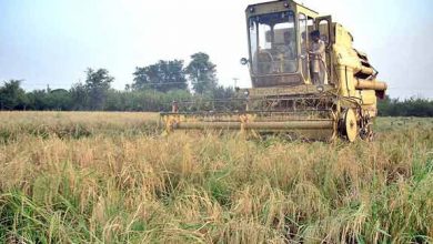 Agriculture Problems and Importance in Pakistan