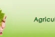 BSC Agriculture In Pakistan 2 BSC Agriculture In Pakistan Scope, Subjects, Salary, Jobs