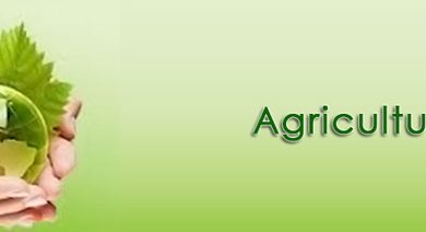 BSC Agriculture In Pakistan Scope, Subjects, Salary, Jobs