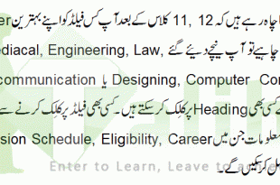 Career After 12th Class In Pakistan