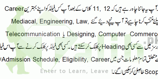 Career After 12th Class In Pakistan Arts Science Commerce career-after-12th-class-in-pakistan-arts-science-commerce