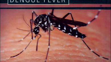 Dengue Fever Prevention, Causes, Symptoms, Treatment and Signs