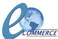 E-Commerce Business in Pakistan