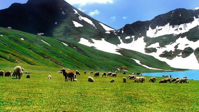 Famous Tourist Places in Pakistan