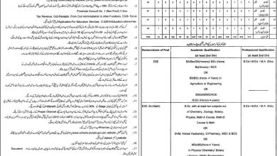 Govt Educators Jobs In Lahore 2015 Form Online Download Eligibility