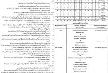 Lahore Educators Jobs 2014-2015 Application Form