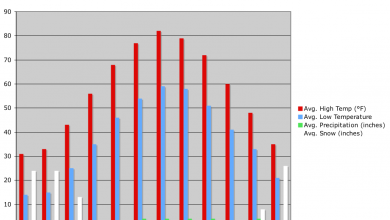 MSc Statistics In Pakistan Scope, Career, Jobs, Courses