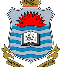 Punjab University BA BSC Supplementary Result 2025