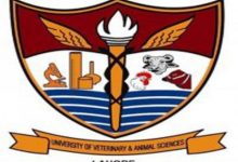 University Of Veterinary And Animal Sciences UVAS, Lahore
