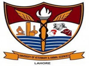 University Of Veterinary And Animal Sciences UVAS Lahore 1 University Of Veterinary And Animal Sciences UVAS Lahore Fee Structure, Contact