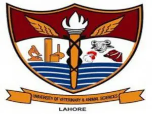 University Of Veterinary And Animal Sciences UVAS Lahore 1 University Of Veterinary And Animal Sciences UVAS Lahore Fee Structure, Contact