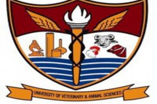 University Of Veterinary And Animal Sciences UVAS, Lahore