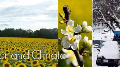 Weather and Seasons in Pakistan