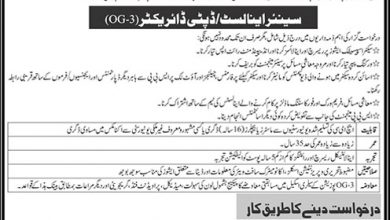 State Bank Of Pakistan SBP Deputy Director OG-3 Jobs 2017 Form, Last Date