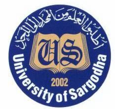 Sargodha University UOS BA BSc Supplementary Result 2025