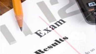 BISE Nankana Sahib Board 5th Class Result 2025