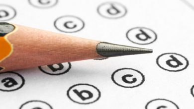 Bahawalnagar Board PEC 8th Class Result 2025 Download