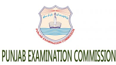 District Khanewal 8th Class Result 2025 PEC Board