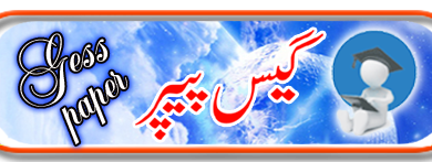 English Guess Paper 10th Class 2025 Lahore Board 5 English Guess Paper 10th Class 2025 Lahore Board