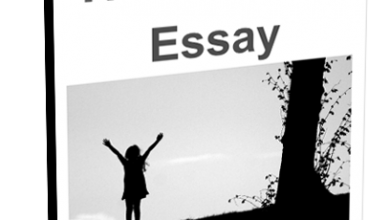 Inter 2nd Year English Important Essays 2025
