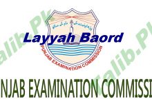 District Layyah 8th Class Result 2025 PEC Board
