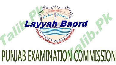 District Layyah 8th Class Result 2025 PEC Board