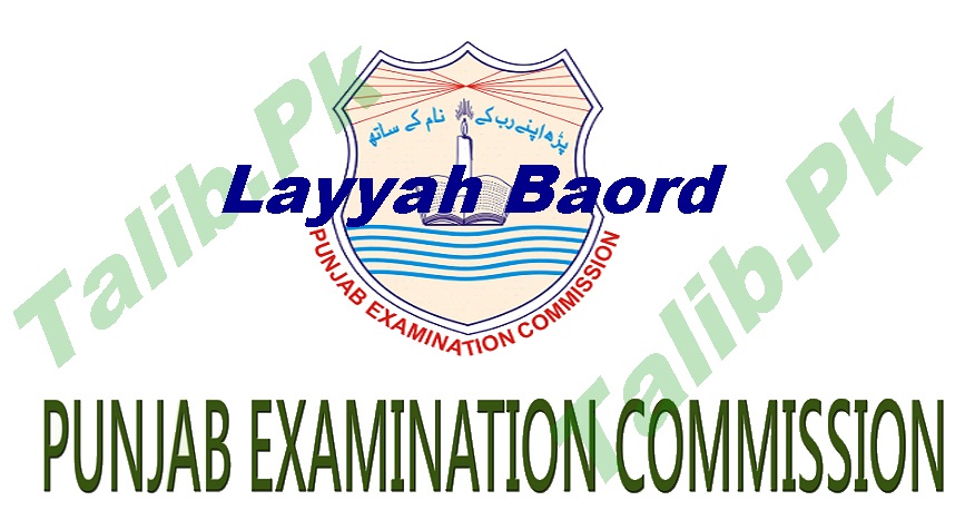 District Layyah 8th Class Result 2025 PEC Board