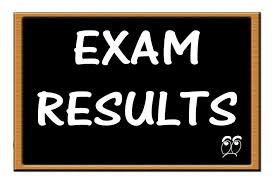 District Mandi Bahauddin 8th Class Result 2025 PEC Board