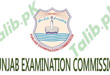 5th Class Result 2025