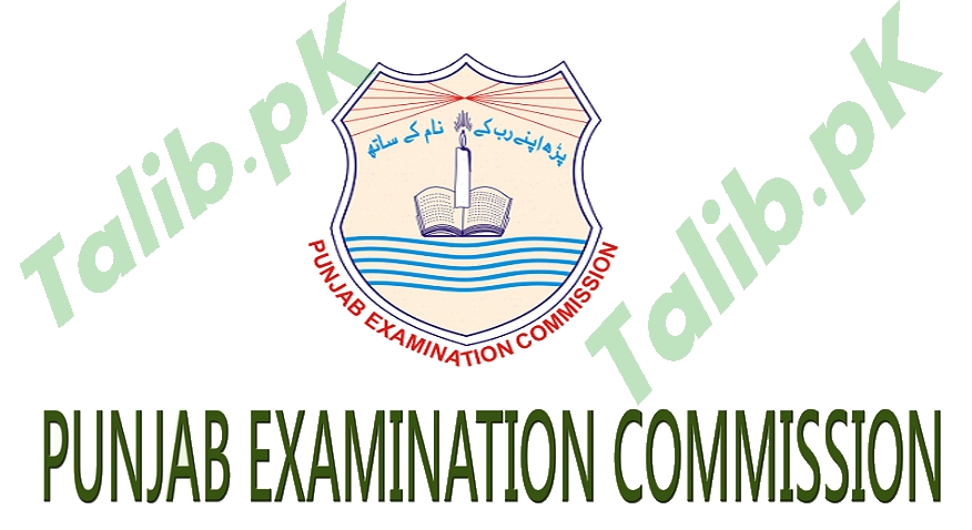 5th Class Result 2025 1 5th Class Result 2025