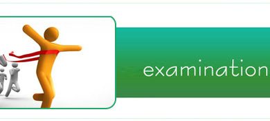 PEC 5th Class Result 2025 Sialkot Board Download