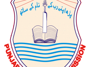 Bahawalpur Board 8th Class Result 2025 By Name Roll No