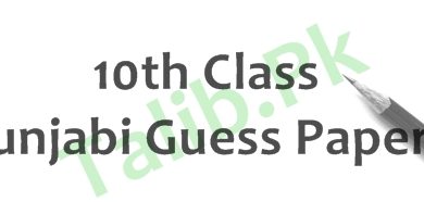 Punjabi Guess Paper 10th Class 2025 Lahore Board