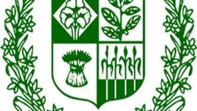 What Is The Age Limit For Government Jobs In Pakistan