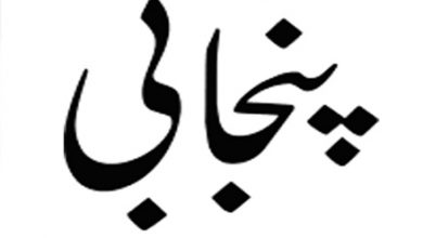 12th Class Punjabi Guess Paper 2025 17 12th Class Punjabi Guess Paper 2025 Lahore Board 2nd Year Questions