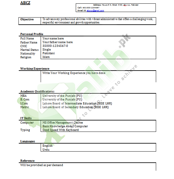 Professional CV Format In MS Word Doc Free Download PDF