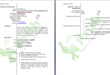 Professional CV Format In MS Word Doc Free Download PDF
