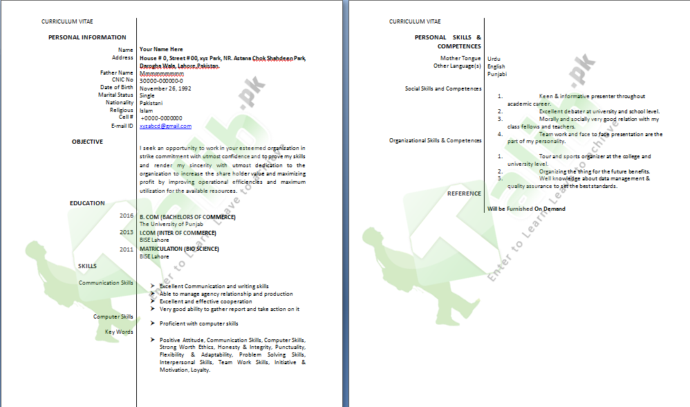 Professional CV Format In MS Word Doc Free Download PDF