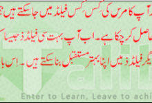 Career Fields After 12th Commerce In Pakistan