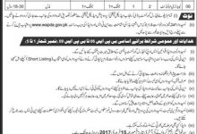WAPDA Hospital Faisalabad Jobs 2017 Paramedics NTS Form, Requirements, Last Date