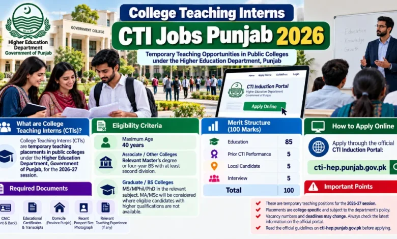 College Teaching Interns CTI Jobs Punja