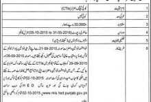 College Teaching Interns CTI Jobs Punjab 2015 Form, Interview Dates