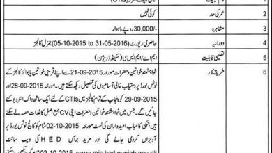 College Teaching Interns CTI Jobs Punjab 2015 Form, Interview Dates