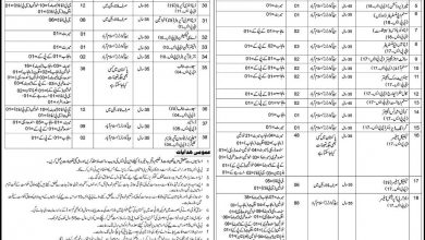 Directorate General of Immigration And Passports Jobs 2015 NTS Application Form