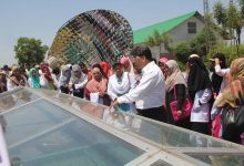 Top Agriculture Universities In Pakistan