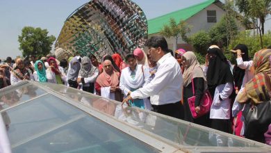 Top Agriculture Universities In Pakistan 9 Top Agriculture Universities In Pakistan