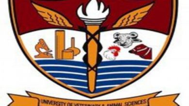 UVAS Entry Test Result 2025 Merit List